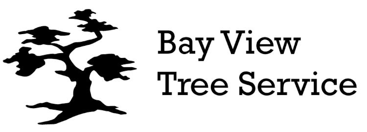 Bay View Tree Service