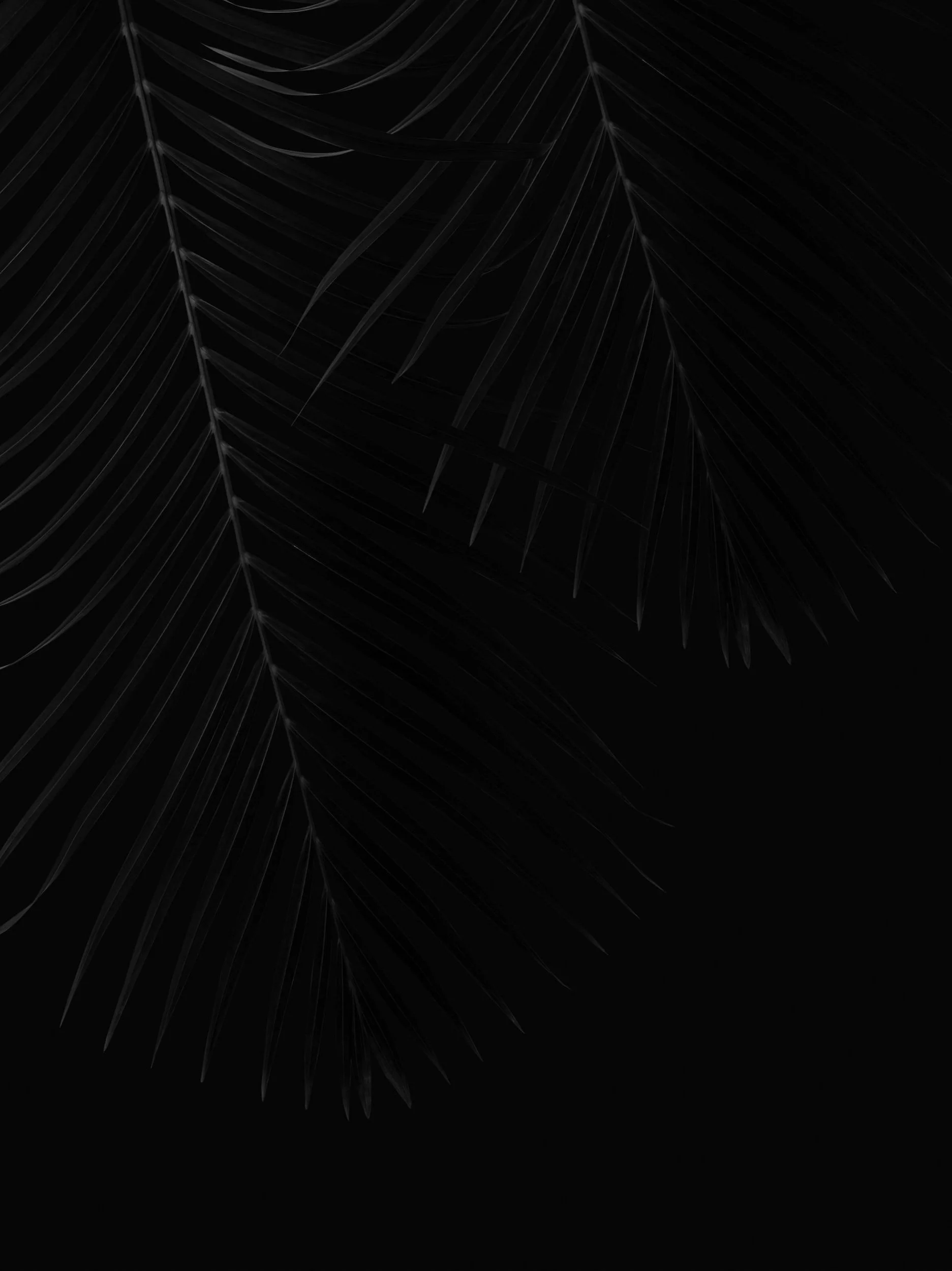 unsplash-image-fuooELn4jyA.jpg