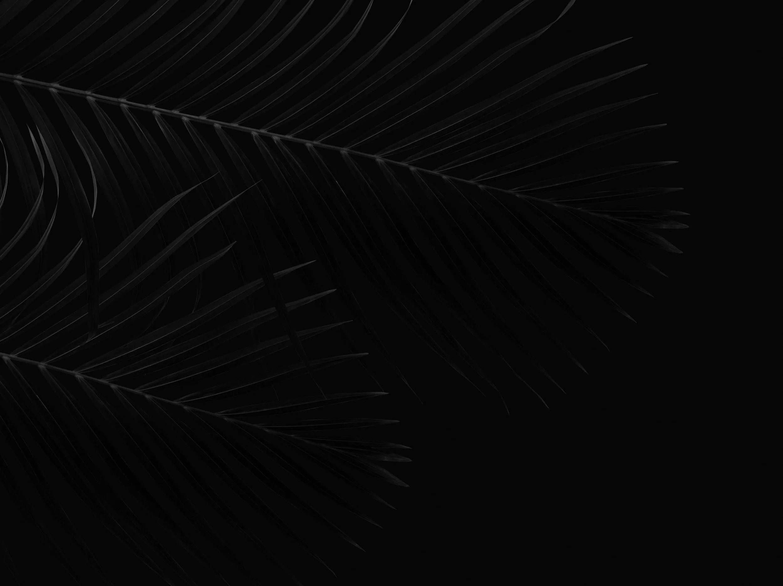 unsplash-image-fuooELn4jyA.jpg
