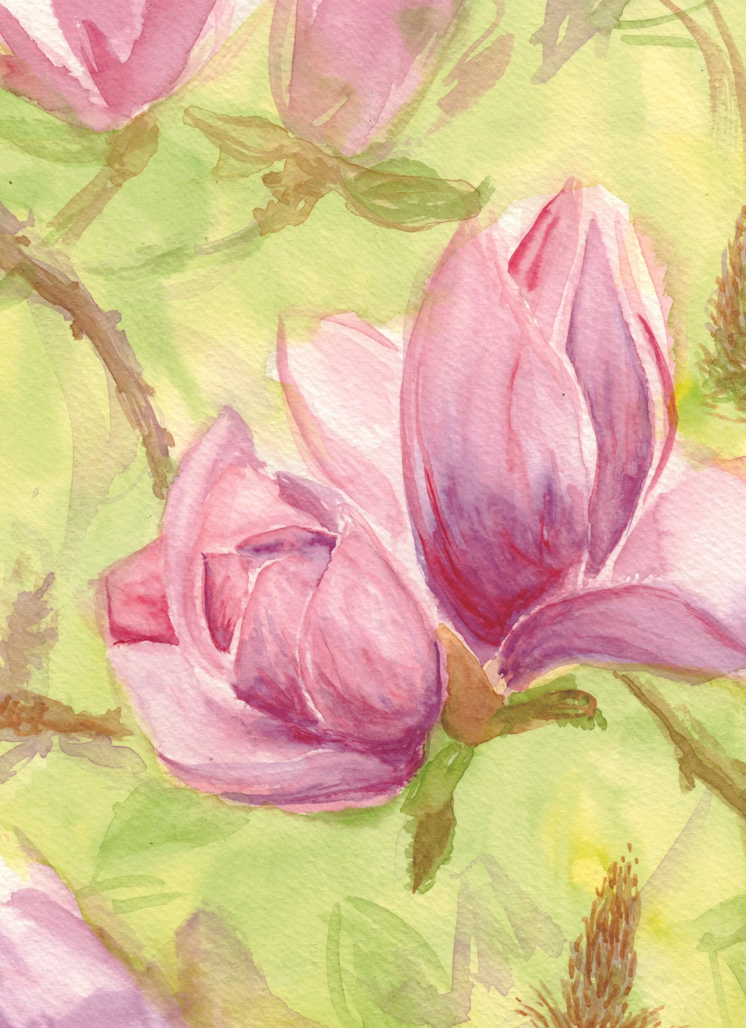 Magnolia