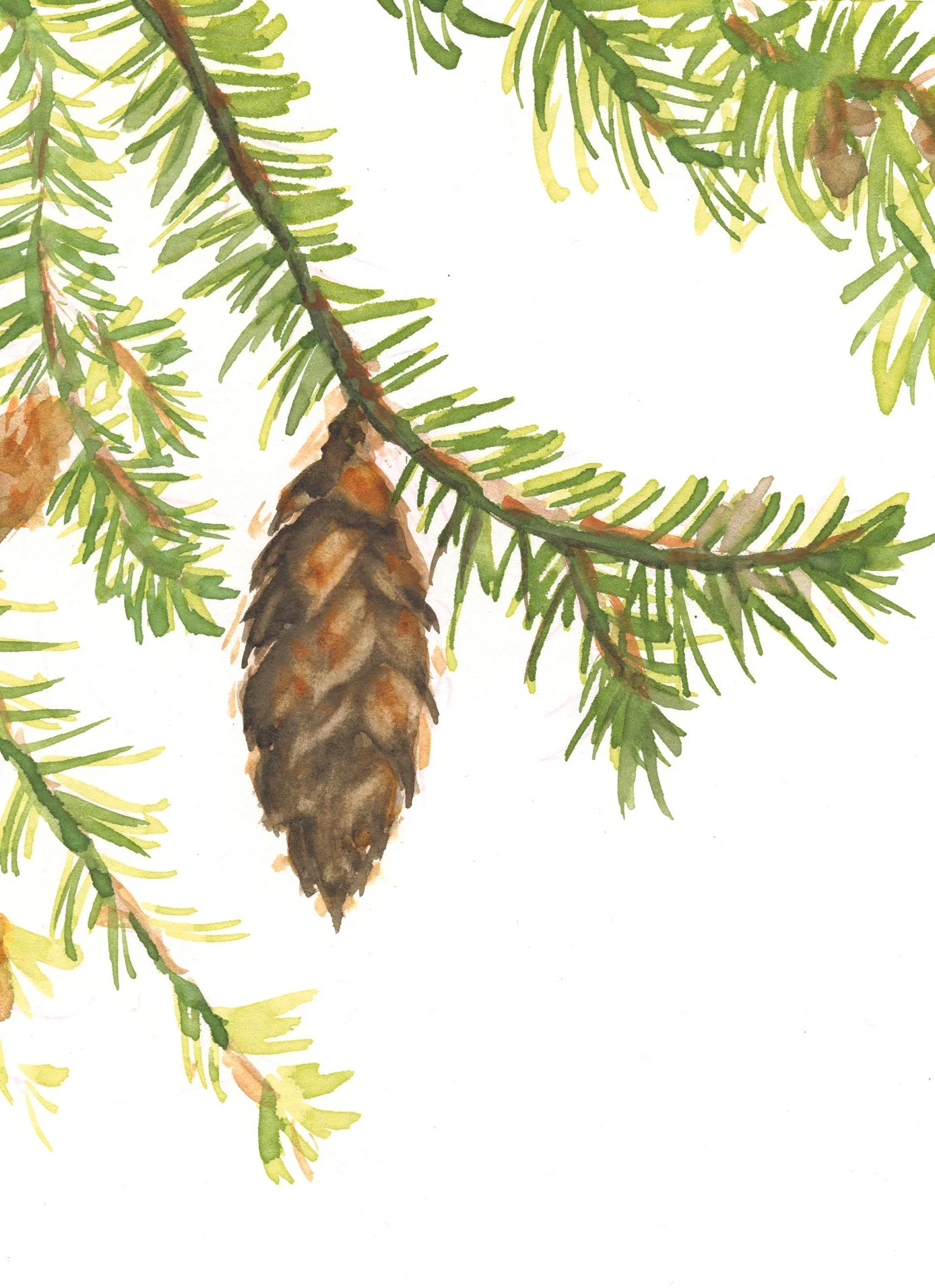 Estella Tse - 2025 Holiday v3 3 copy.jpg