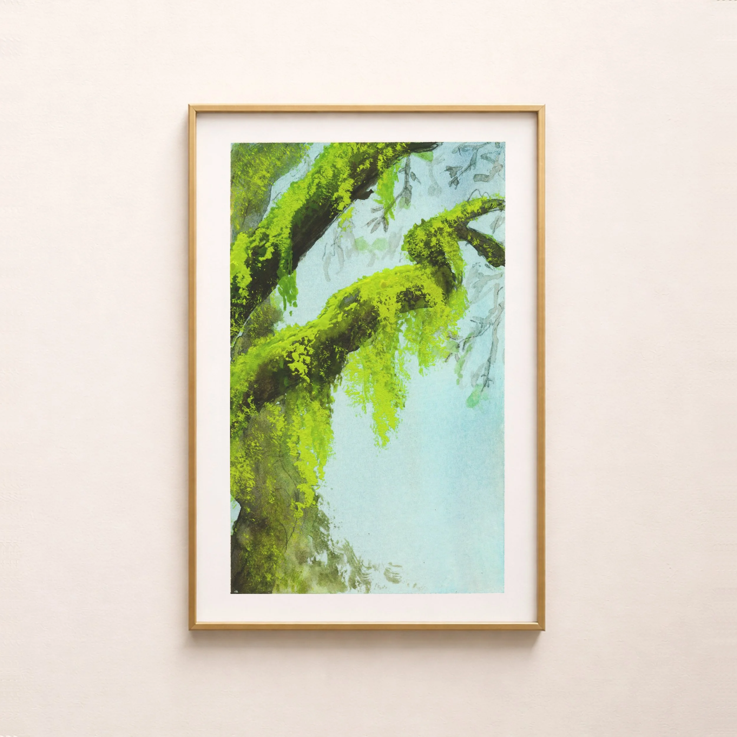 Mossy Branch