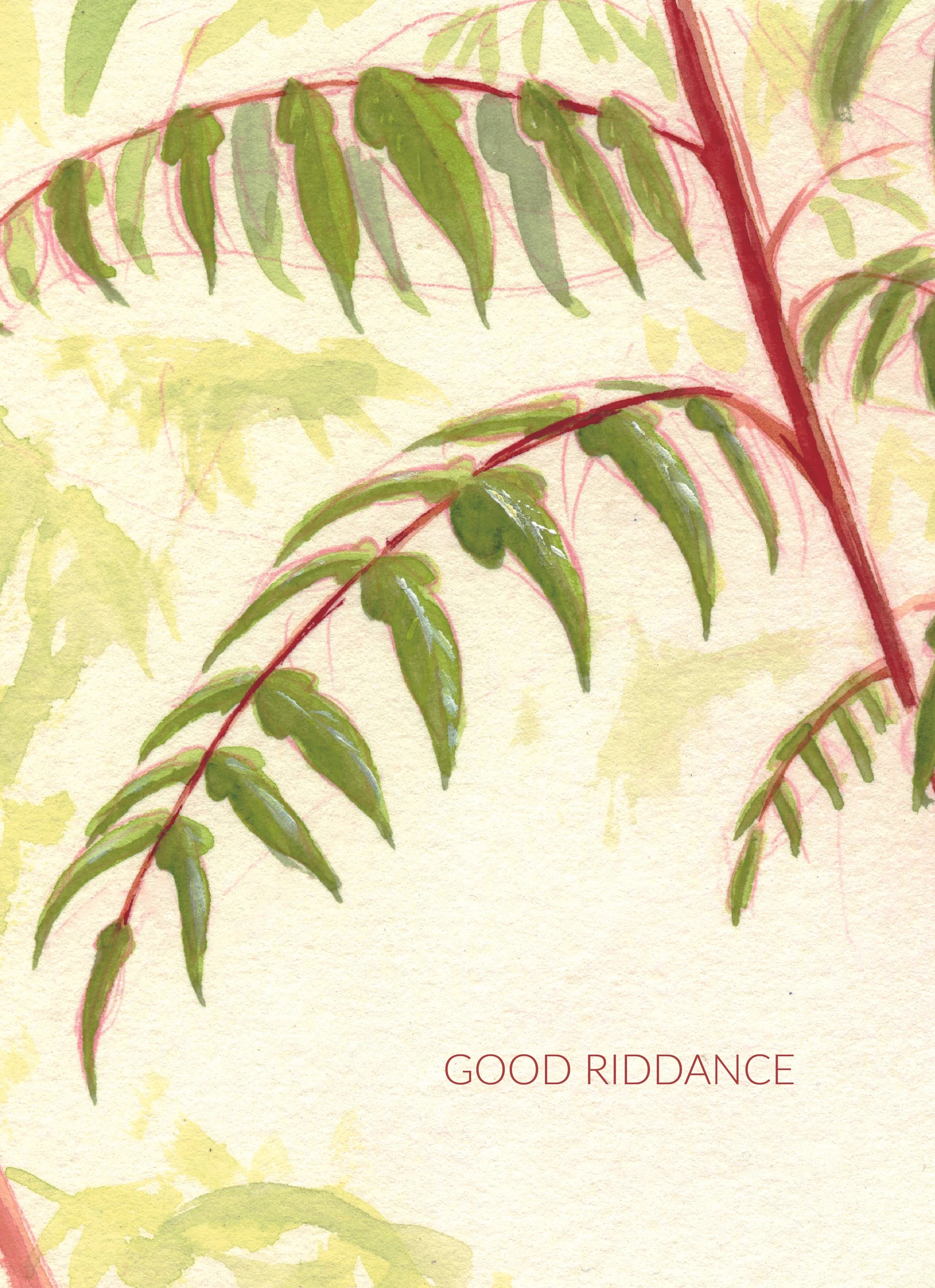 A6 - Folded Cards - 2026 Spring Run16.jpg