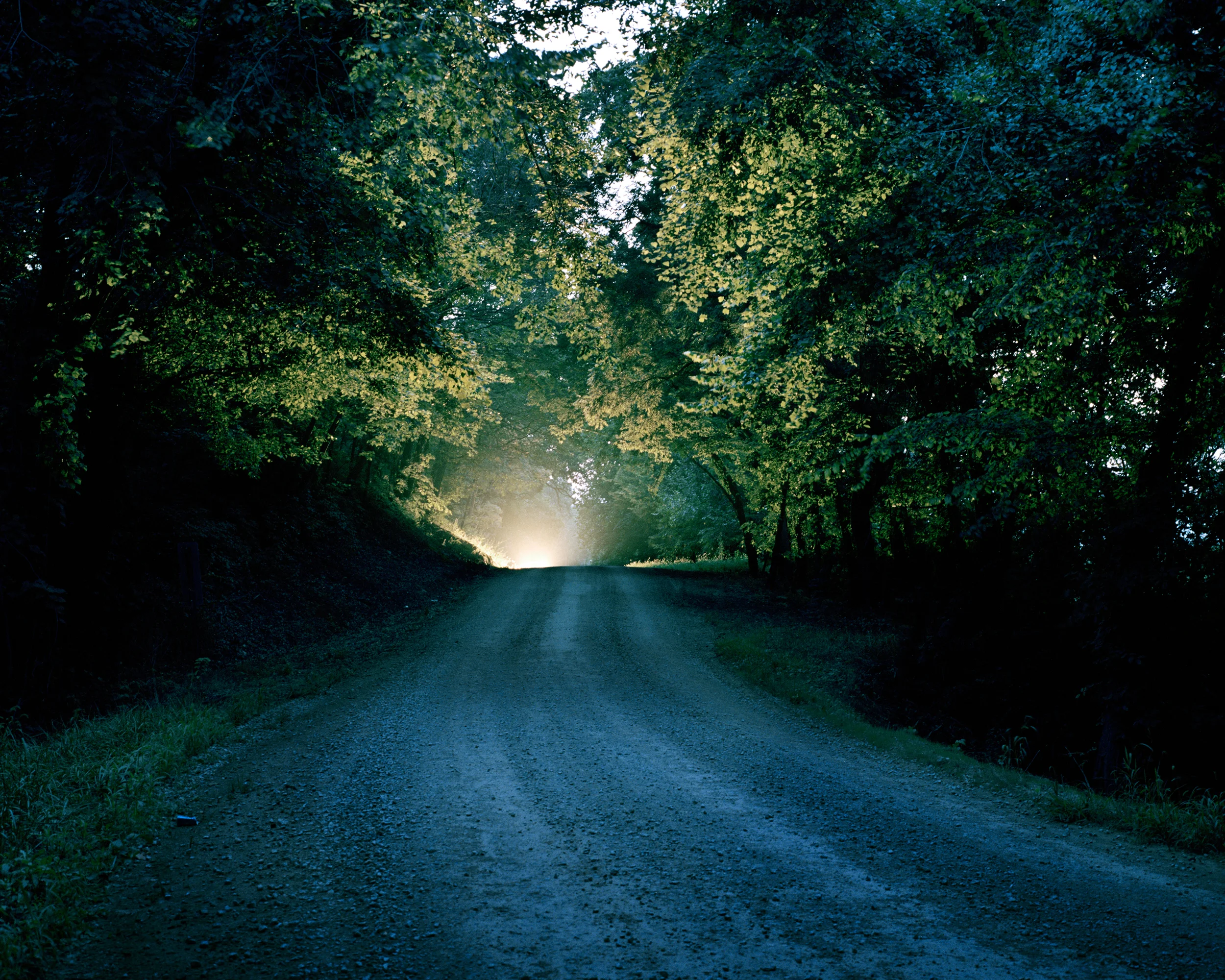 In the Ozarks There Are Lights