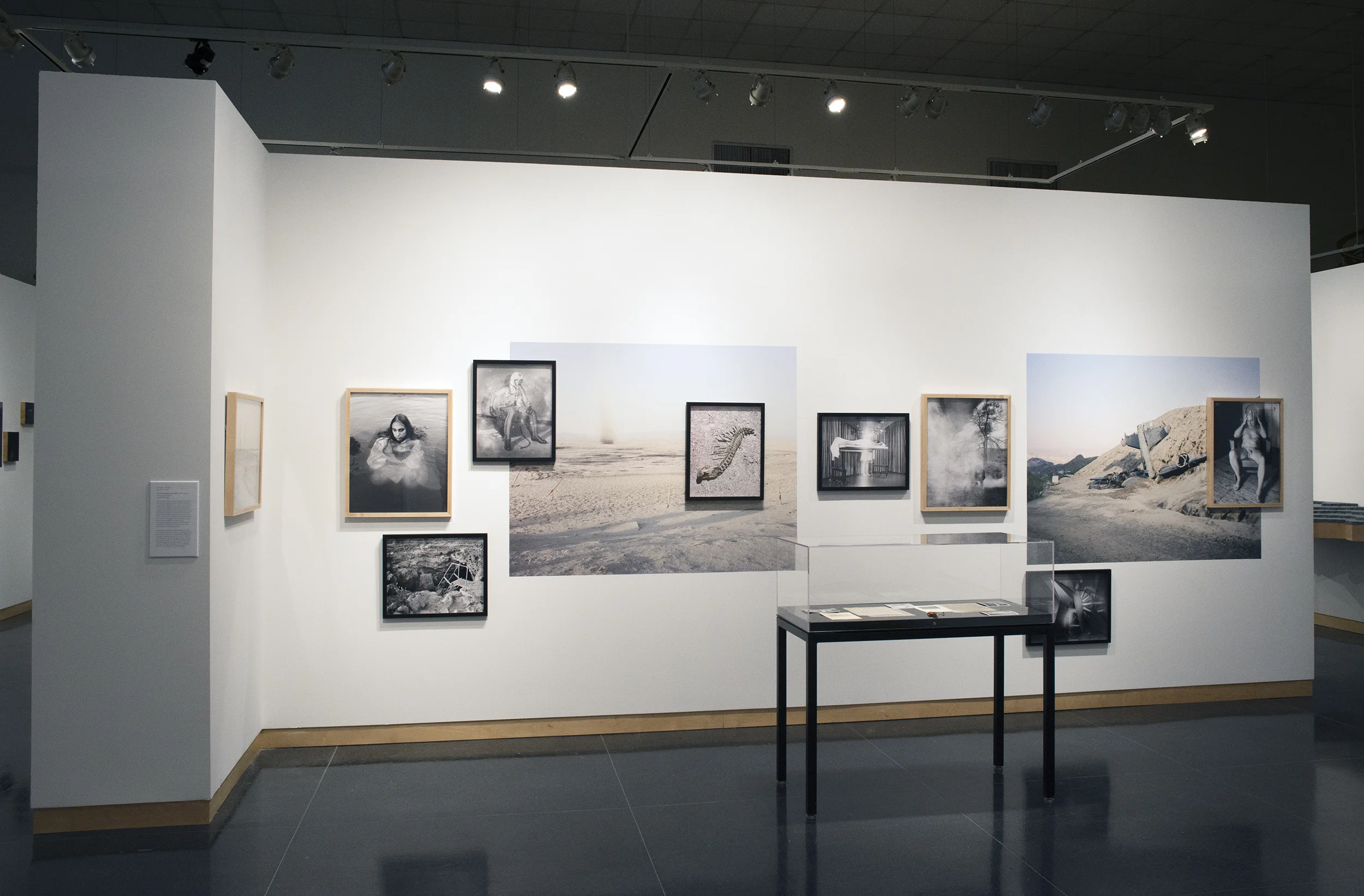 Syracuse University Art Museum, Syracuse, New York