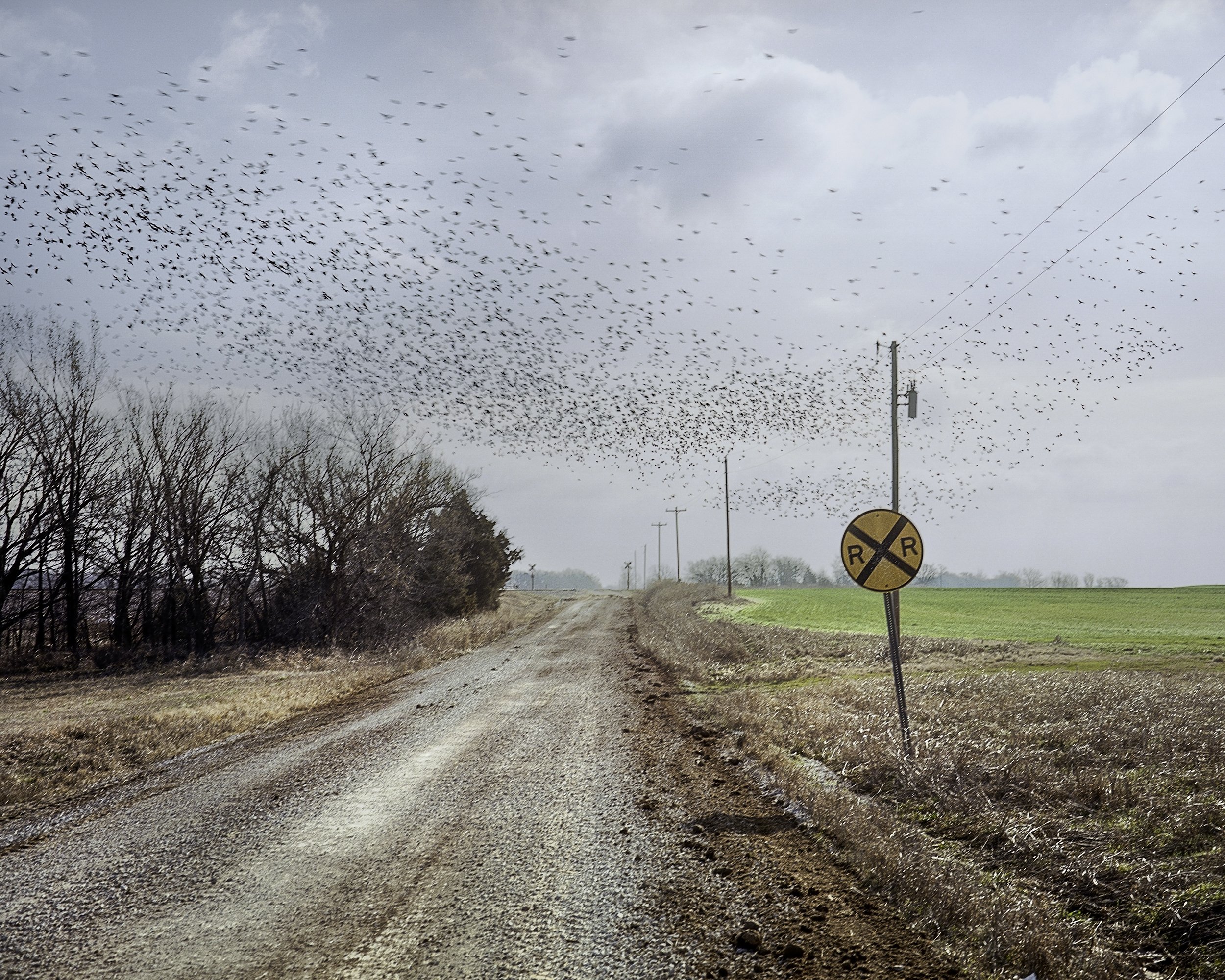 Road_Weary_02.jpg