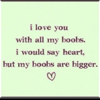 7b97271a08242040acd319df1a49da6d--boob-jokes-soul-food.jpg