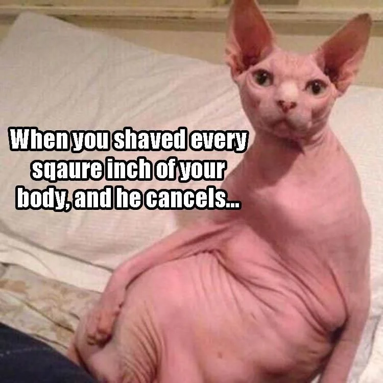 f3a8f78b904c48a45261ffbb2f5d6207.jpg