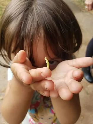 inchworm.jpg