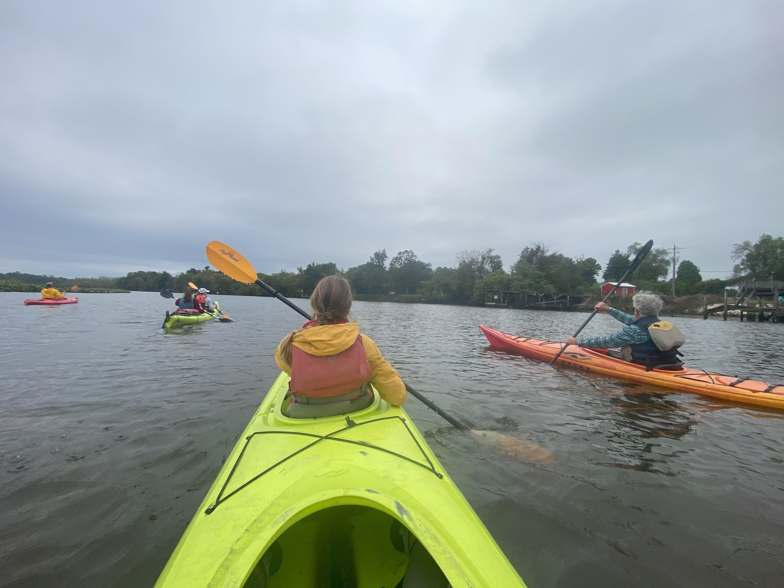 2023 By the Numbers & Beyond — Envision the Choptank