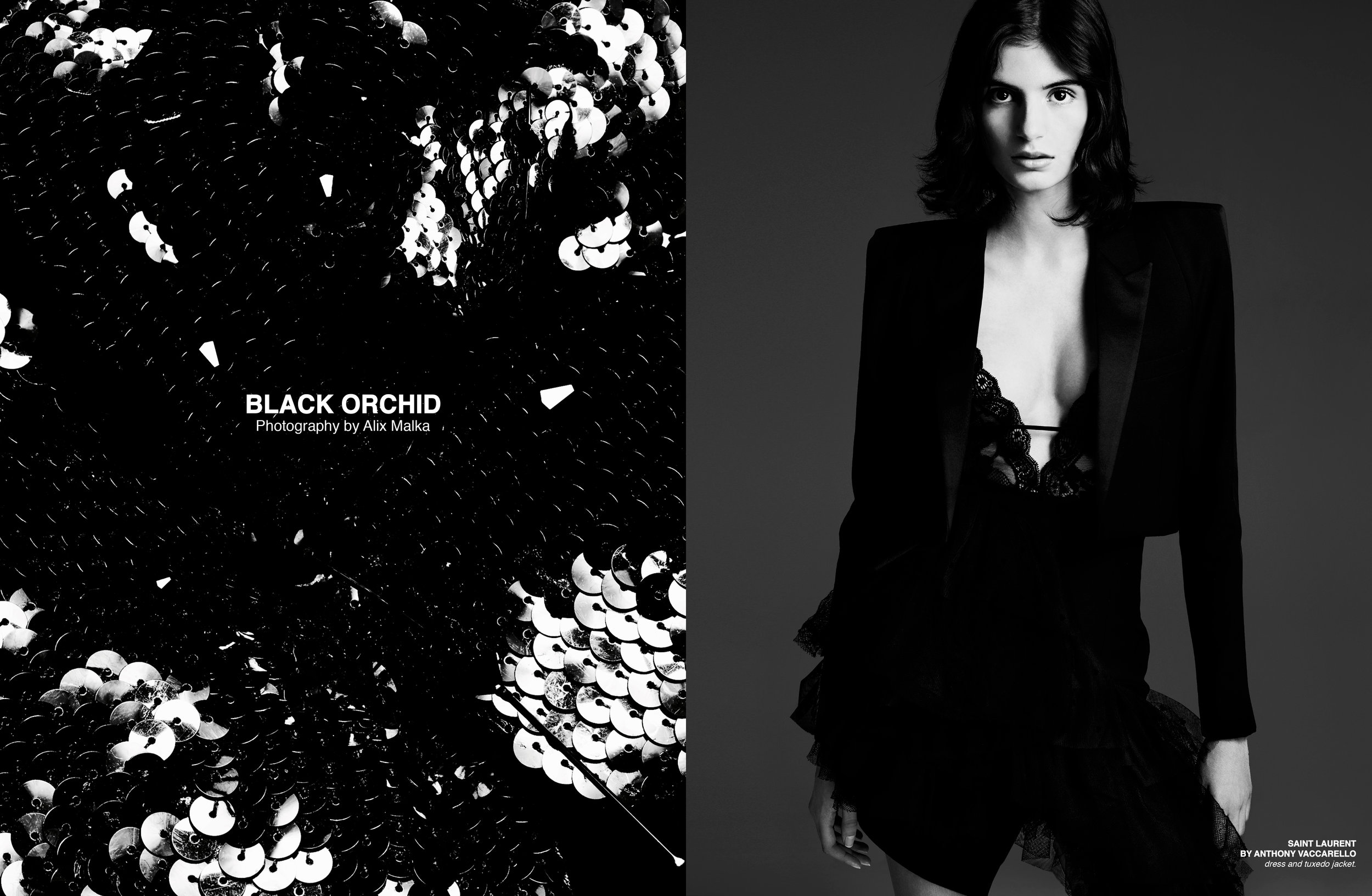 blackorchid1.jpg