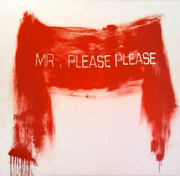   Mr. Please Please  