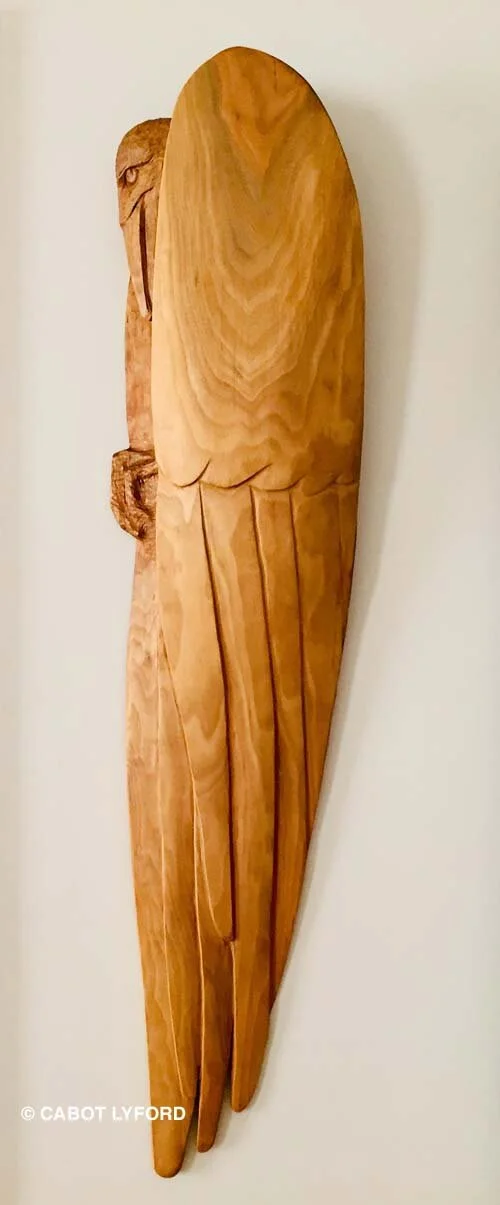 Vulture Cabot Lyford.jpg