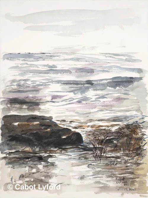 Winter Beach Lyford 2012.jpg