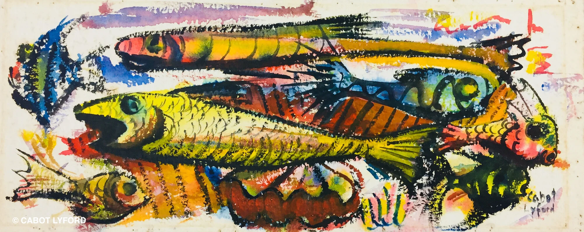 School Cabot Lyford.jpg