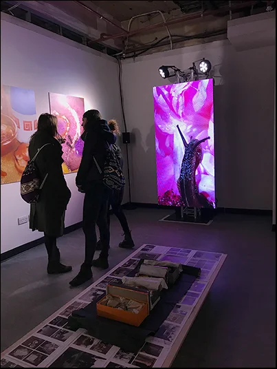 Maisie Cousins, ‘Slug’ film