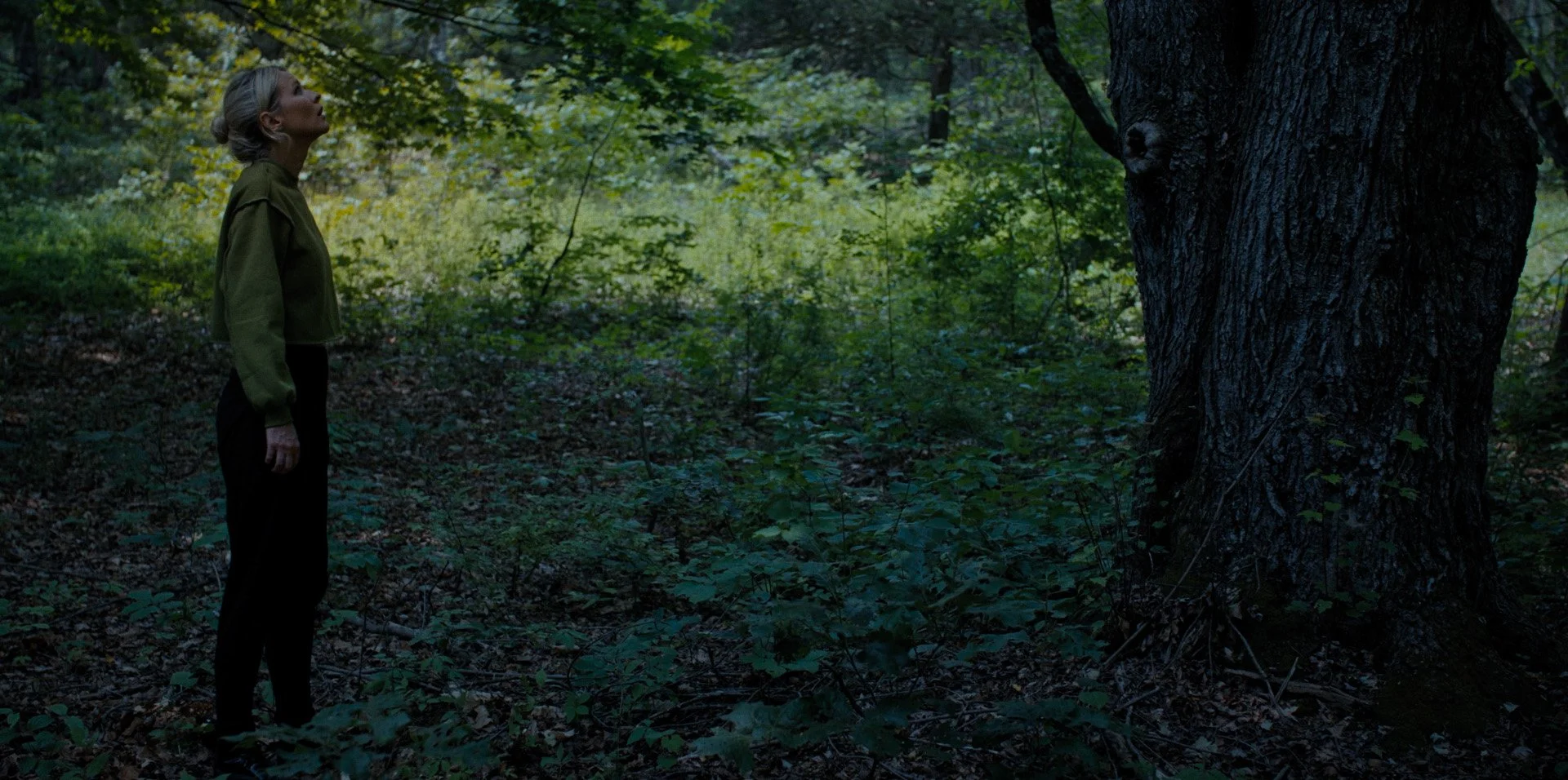 TheBitingTree_007.jpg