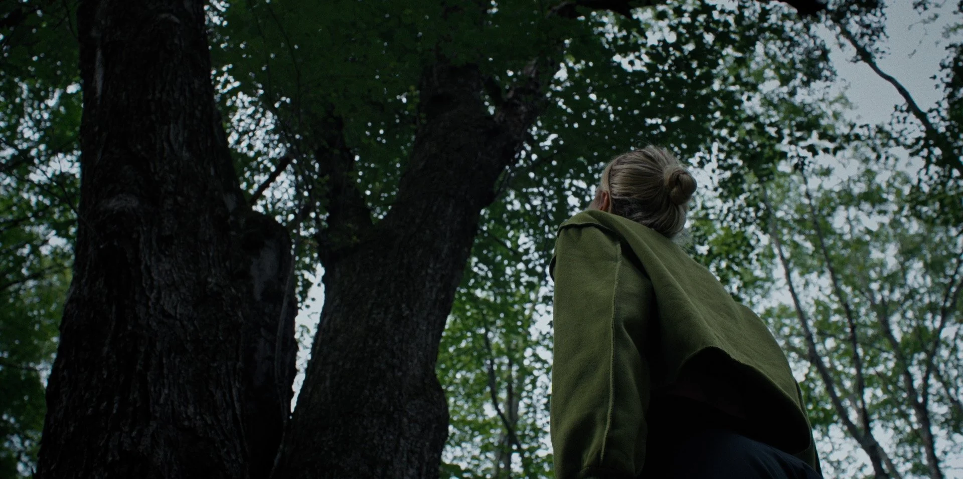 TheBitingTree_008.jpg