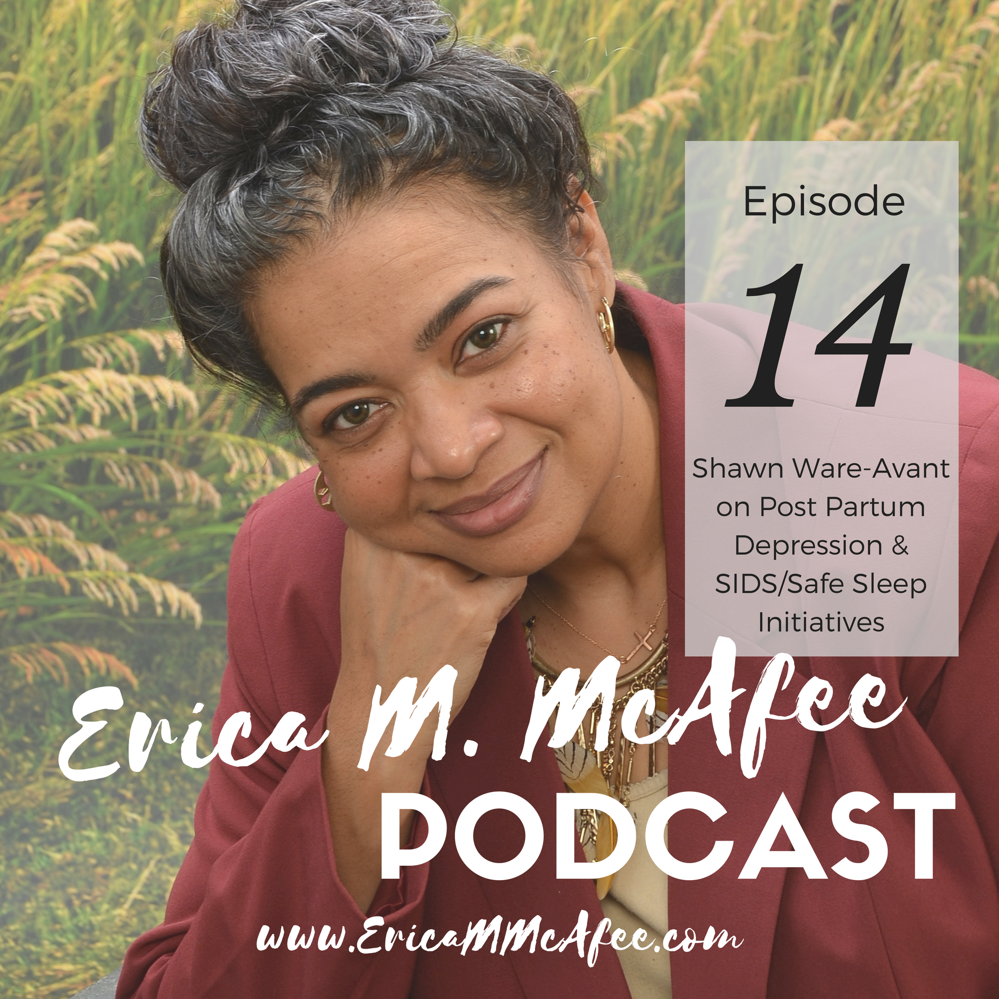 Erica M McAfee Podcast Banner (26).png