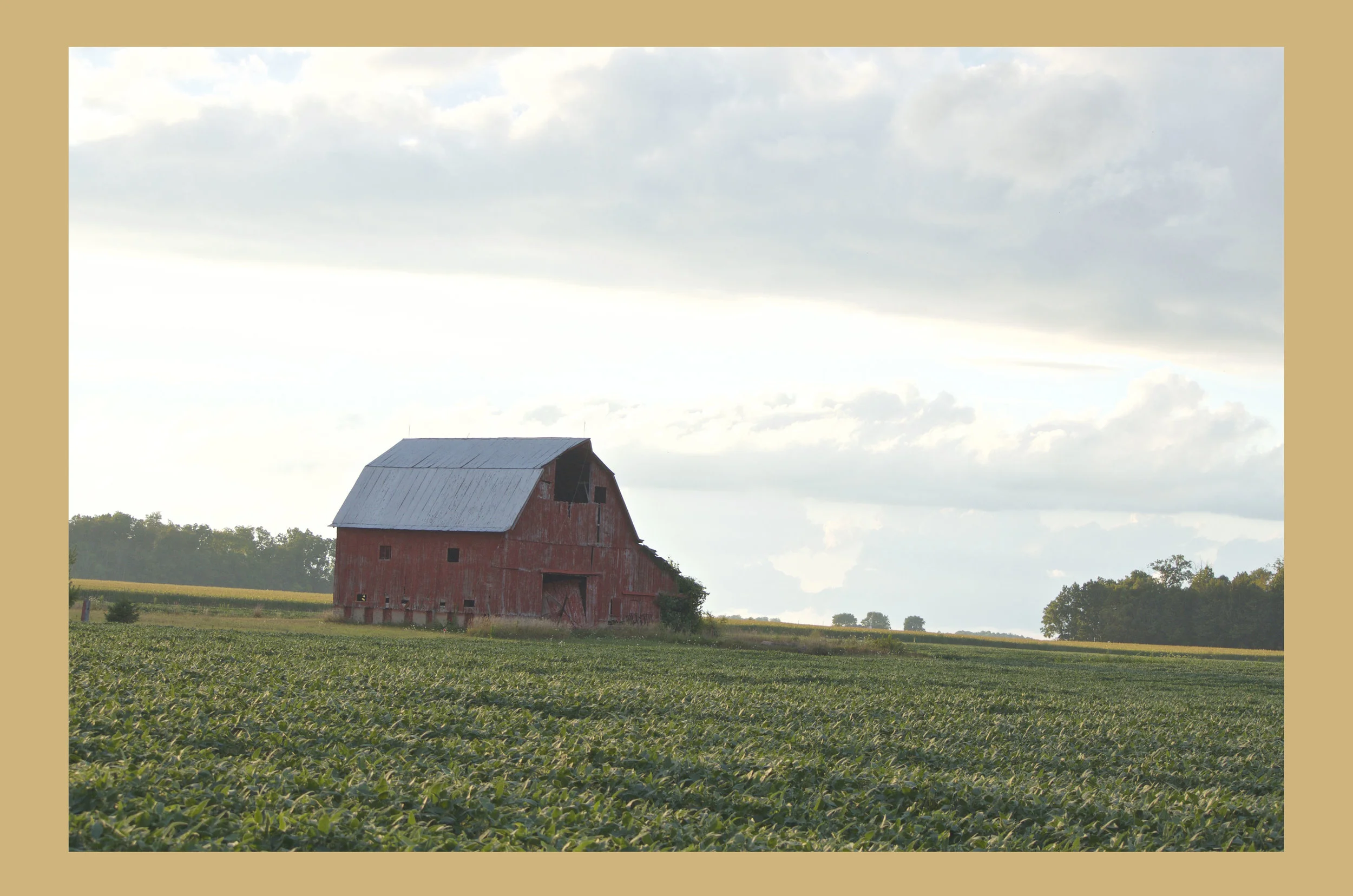 Red Barn.jpg