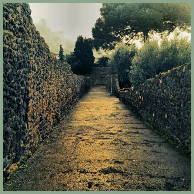 I can see road.jpg