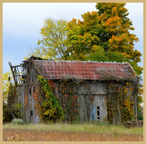 Photo by Angela Kellogg