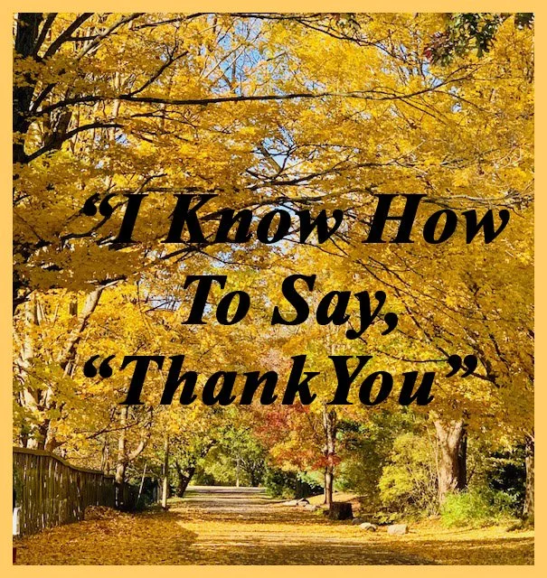I Know How to Say Thank You