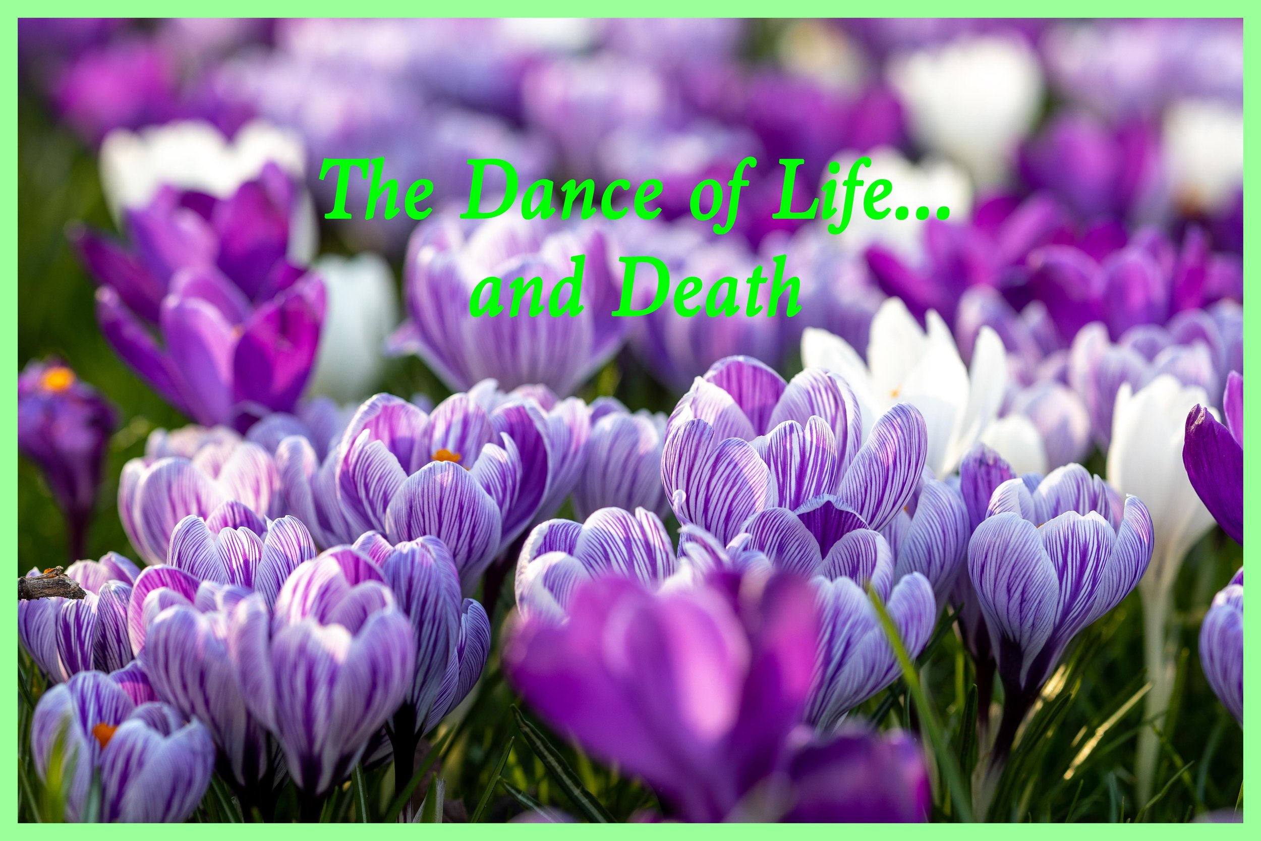 The Dance of Life...and Death