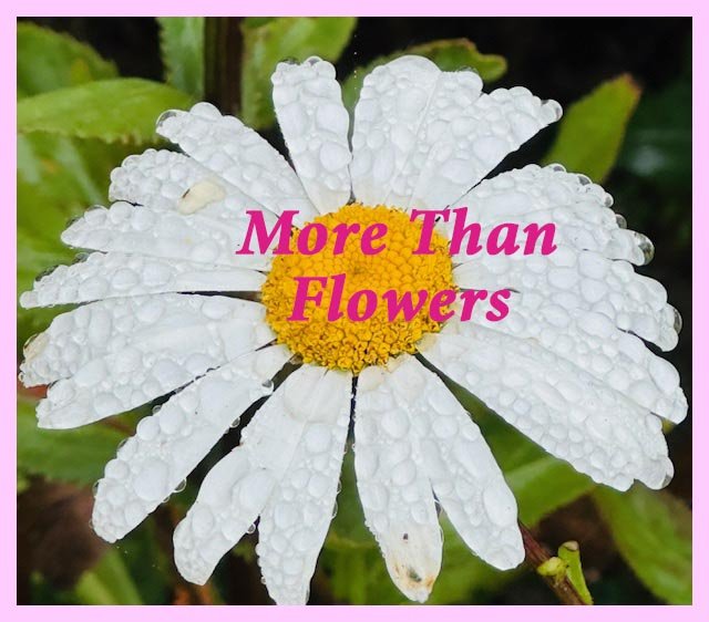 More Than Flowers
