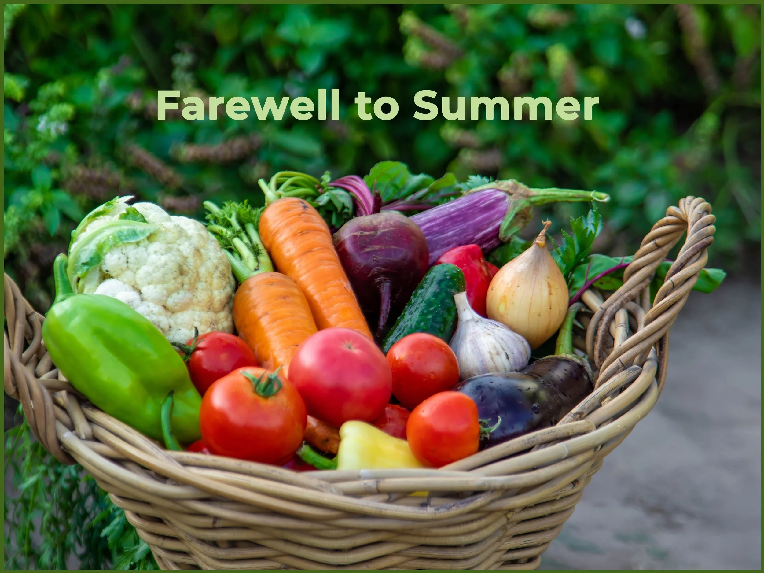Farewell to Summer
