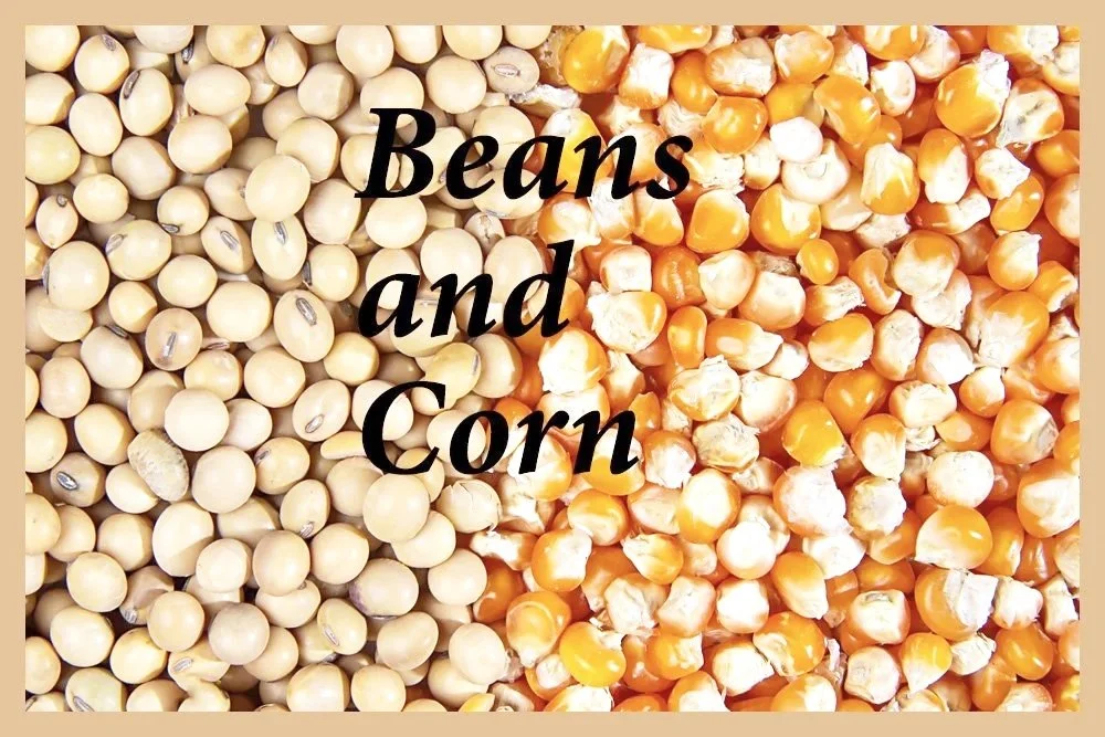 Beans and Corn
