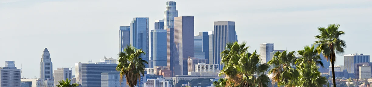 Los Angeles banner x.jpg