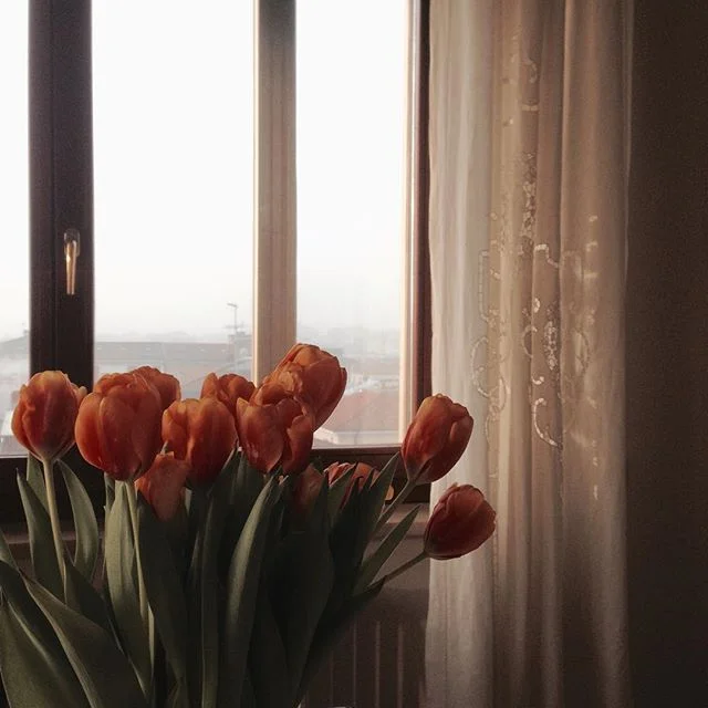 33.
#flowers #birthday #serenity #life