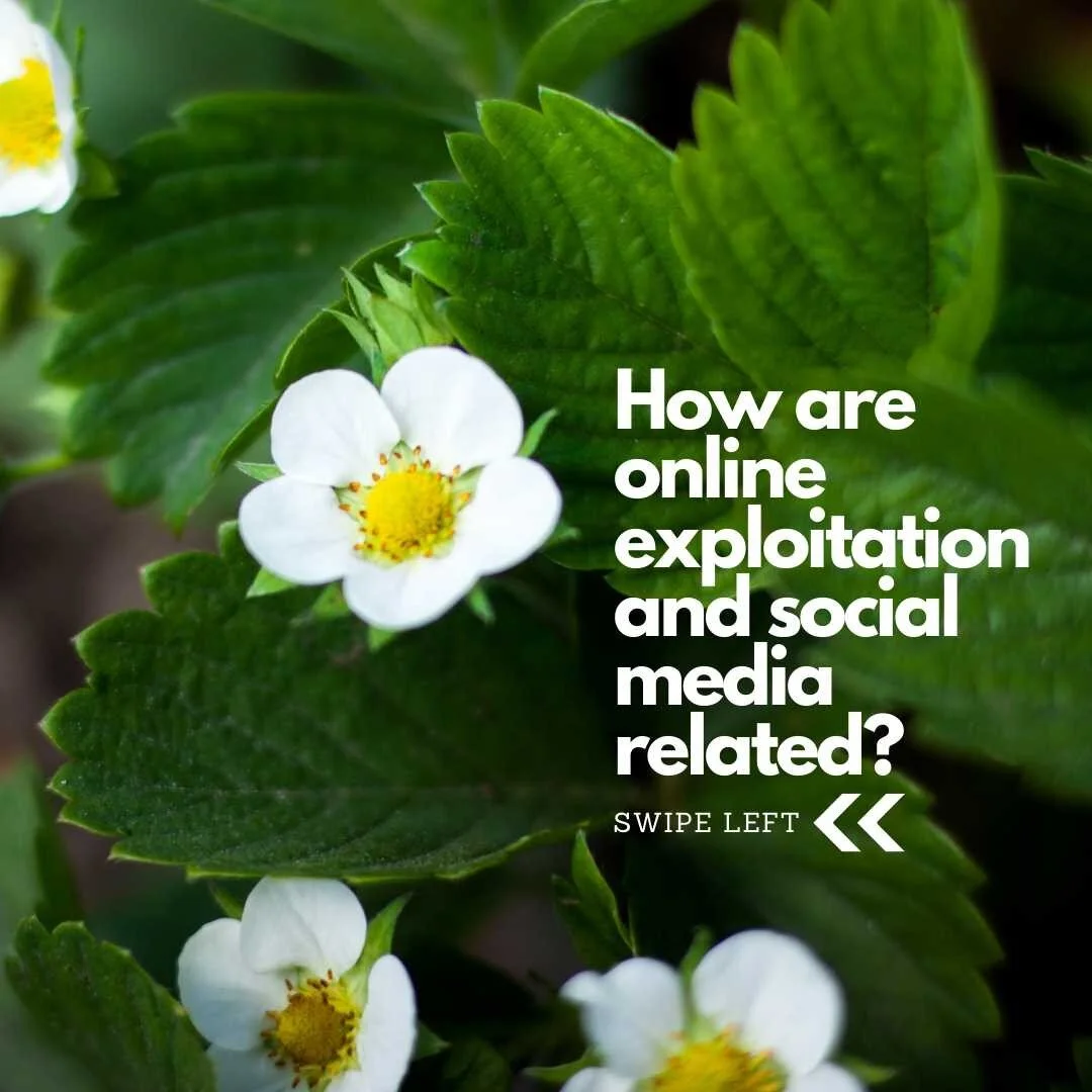 Social media can help connect kids to their friends but can also connect predators to victims. 
.
.
.
.
.
#endhumantrafficking  #protectkids  #endtrafficking  #ecpatusa  #nonprofits  #endsextrafficking  #nonprofit  #humanrights