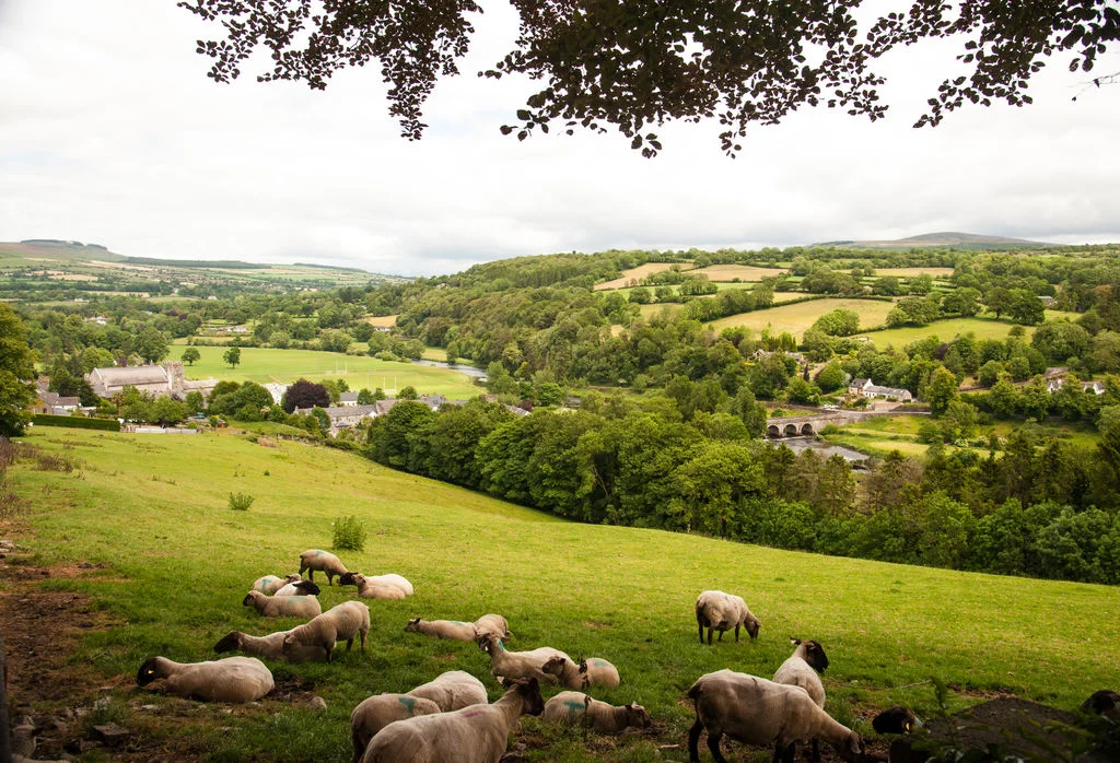 medium-Inistiogue, Co Kilkenny (2).jpg