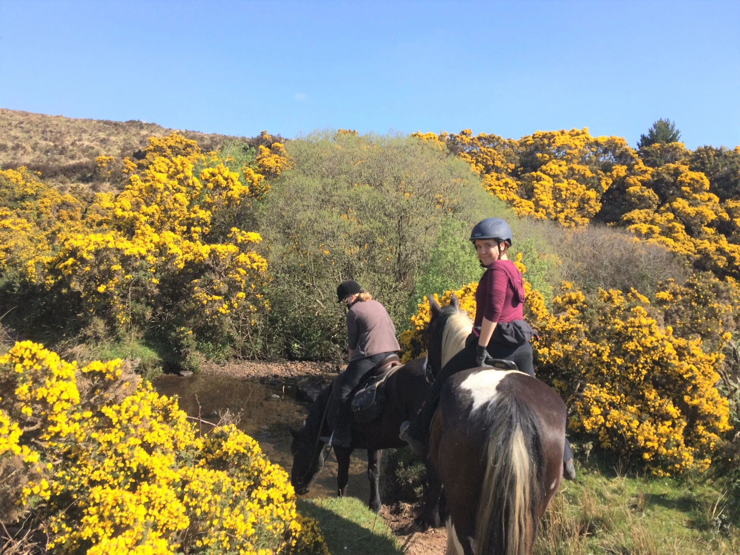 Irish Castles & Monastic Ruins Ride - 5 Nights | Discover Ireland ...