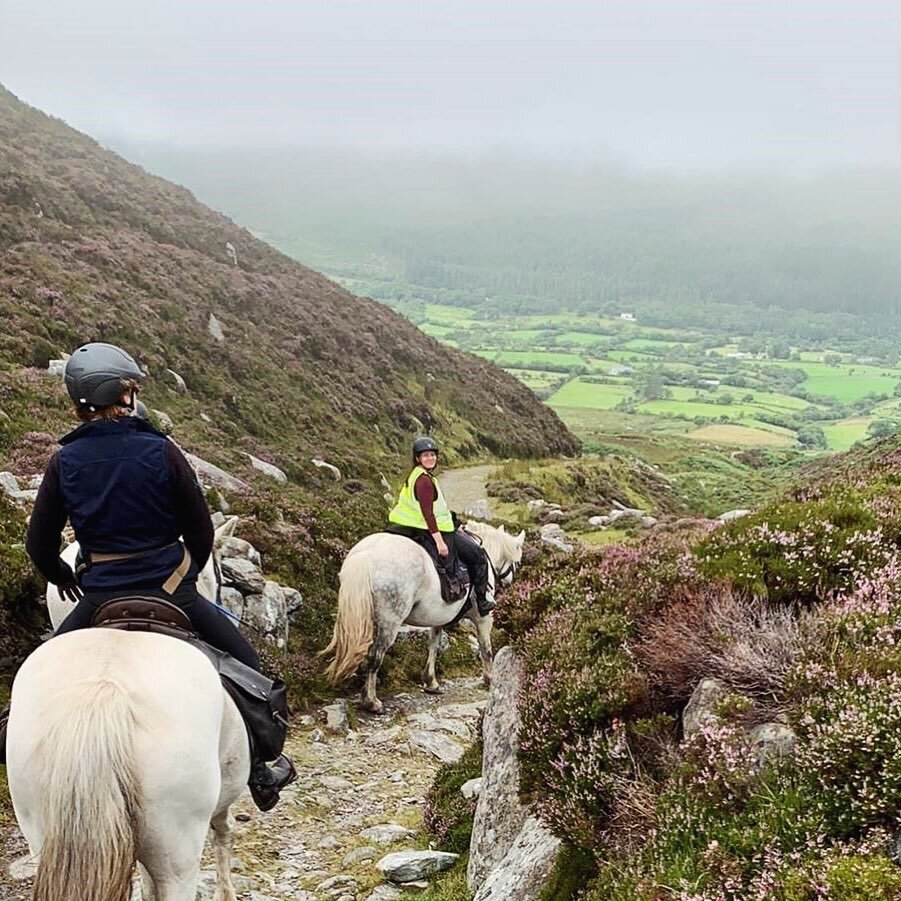 Misty Morning: Reeks Trail
☘️🐴☘️

(Itinerary: Reeks Trail &amp; The Ring of Kerry) 

#rideinireland #ireland #horseridingholidays #equestrian #trekking #countykerry #seefinmountain #bucketlist