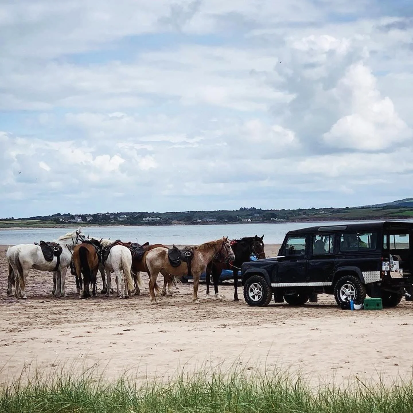 Lunch Break : Reeks Trail &amp; The Ring of Kerry 
☘️🐴☘️

#rideinireland #trekking #equestrian #horsebackriding #ireland #ringofkerry
