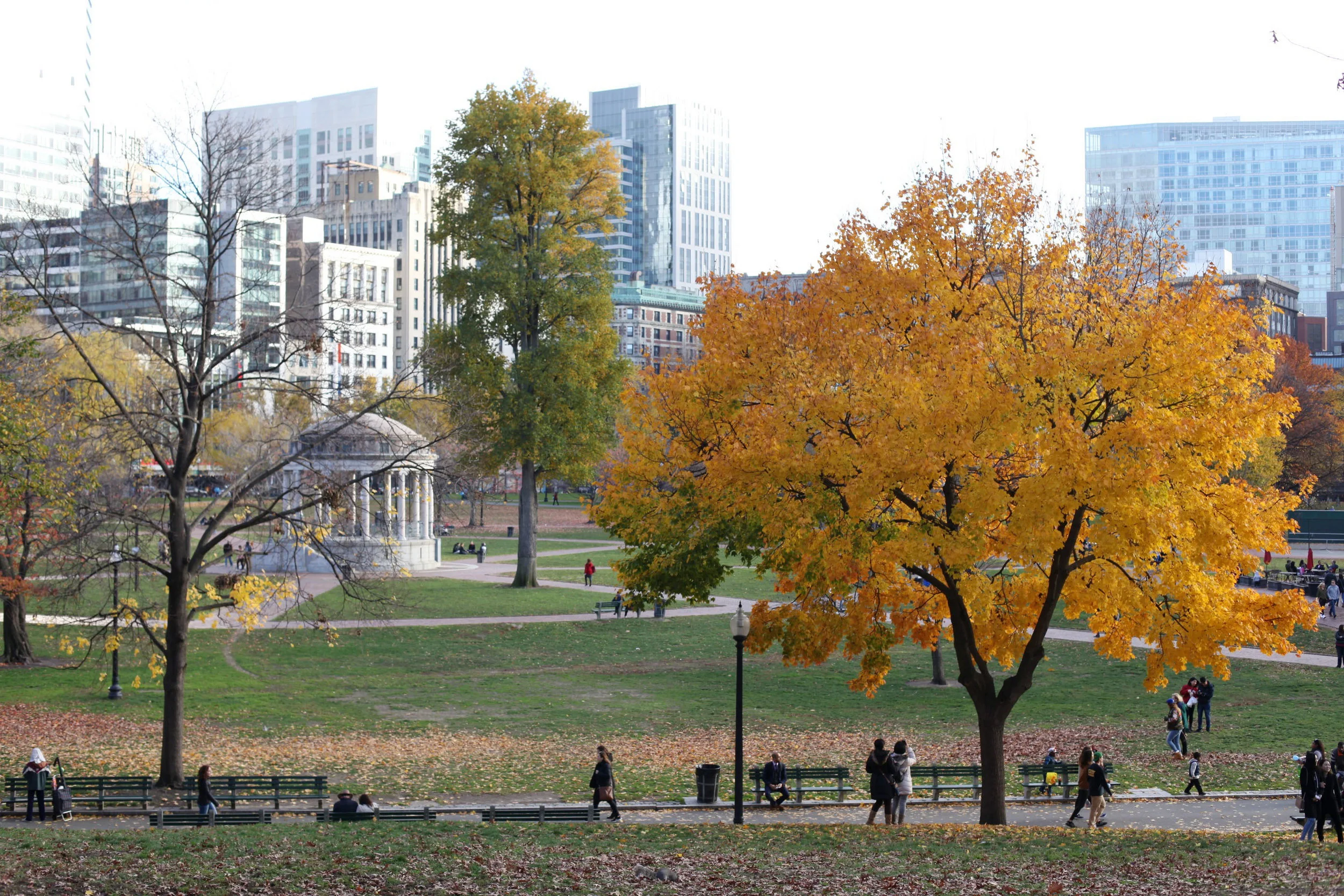 boston_common.jpg