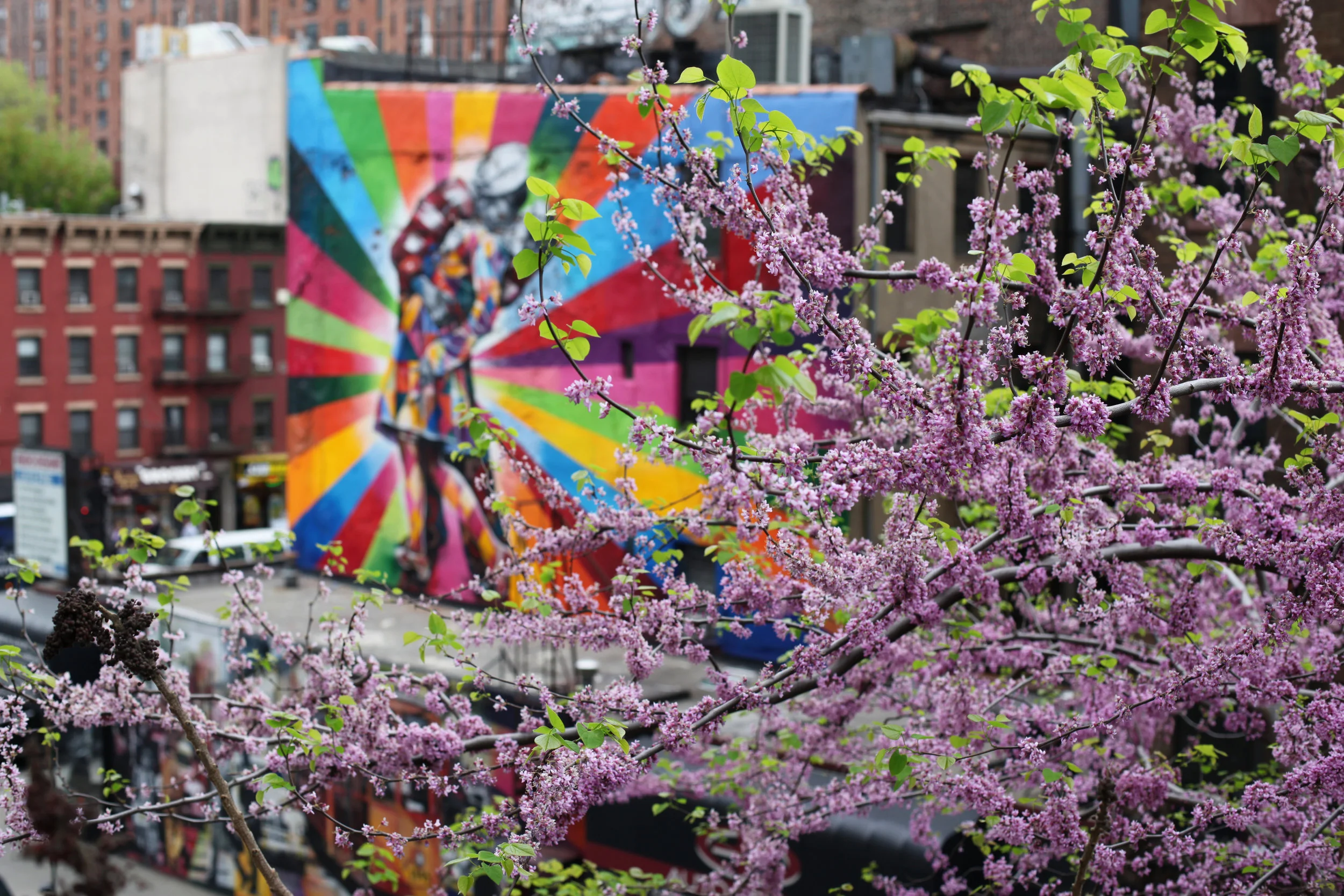 highline-art-flowers.jpg