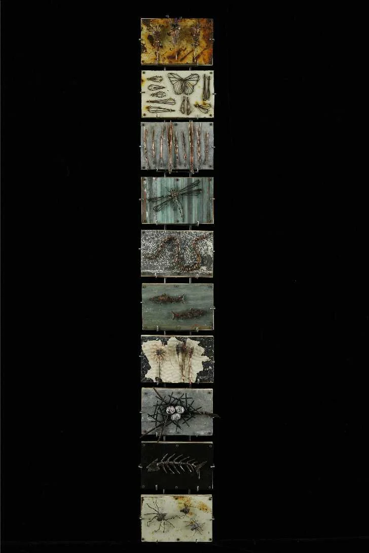 Natural History