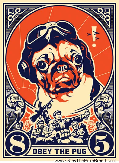 pug_pilot_lg.jpg