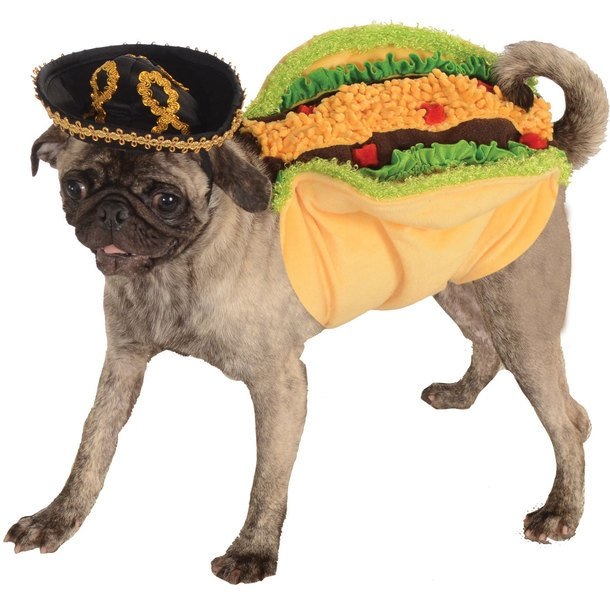 Taco Pug Costume