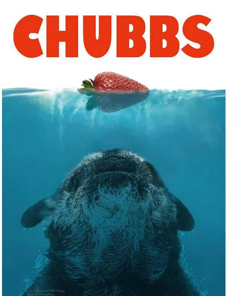chubbs_strawberry