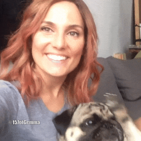 pug waving hello goodbye gif