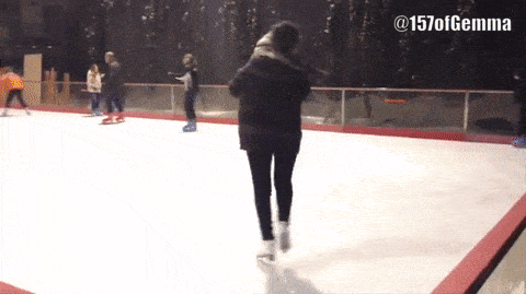 pug ice skating gif