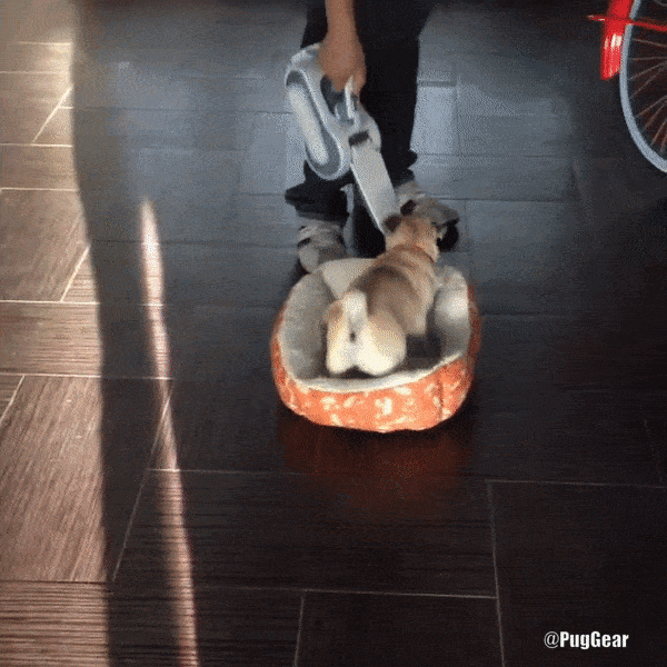 ezgif.com-optimize (1) copy.gif