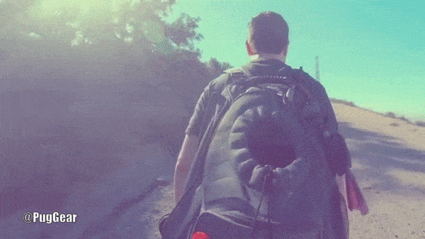 pug gear best pug accessories dog backpack