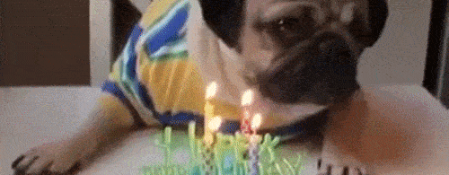 ezgif-com-crop.gif