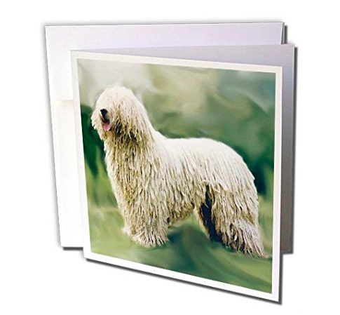 komondor mop dog greeting card